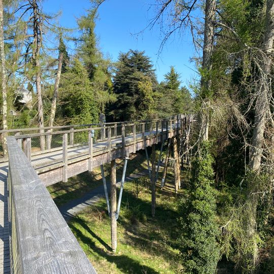 Treetop Walk