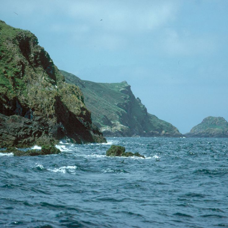 Île de Skomer