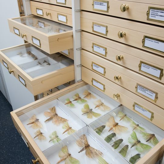 Lincoln University Entomology Research Collection