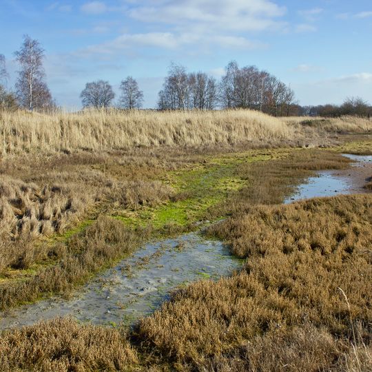 Landgraben- und Dummeniederung