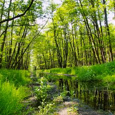 Herrensee, Lange-Damm-Wiesen und Barnim-Hänge