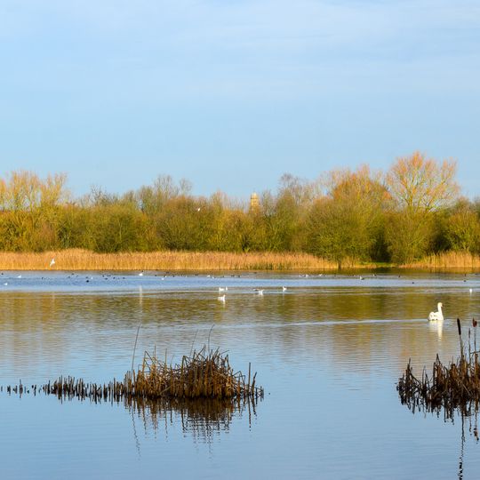 Irthlingborough Lakes and Meadows