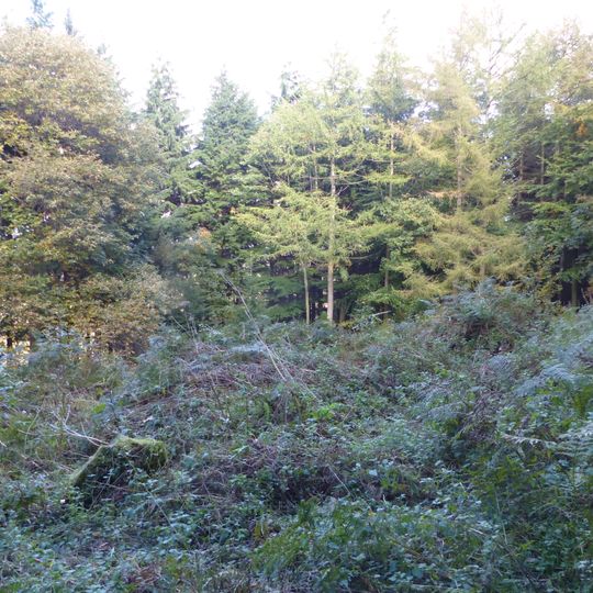Roman period native settlement in Danefield Wood, 490m south west of Stubbings Farm