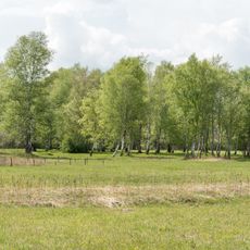 Riedholz und Grettstädter Wiesen