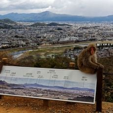 Parc au singes d'Iwatayama