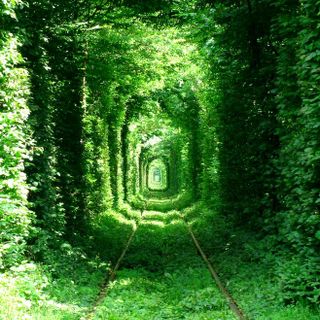 Tunnel der Liefde