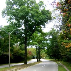 Neponset Valley Parkway