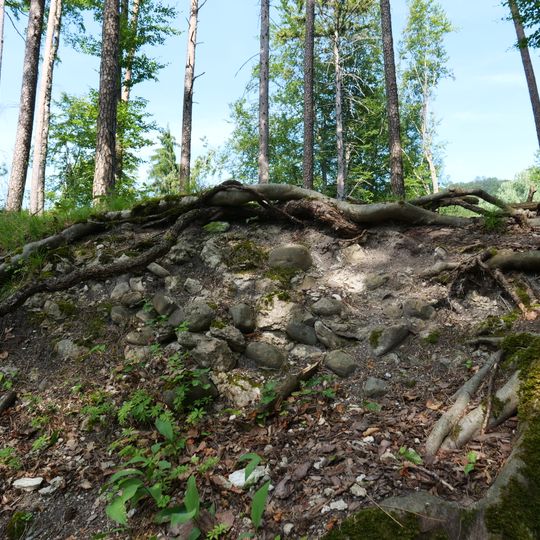 Medieval castle site