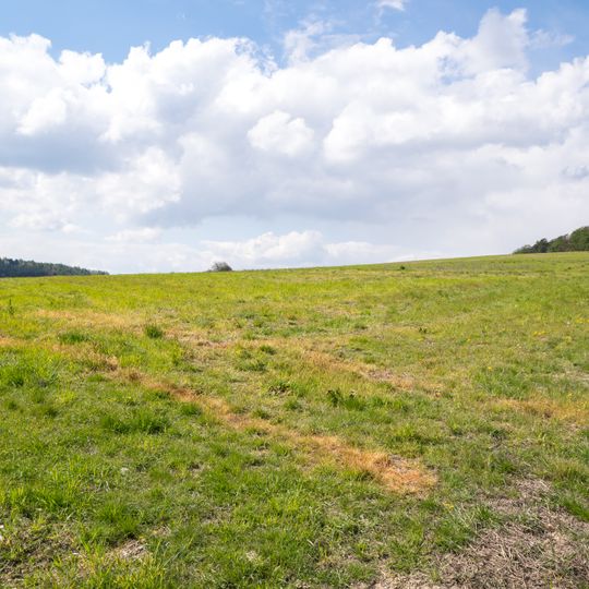 Kalkmagerrasen bei Ottbergen und Bruchhausen