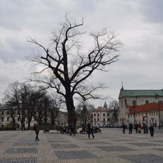 Litewski Square in Lublin