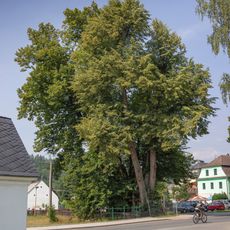 Lípy v Karlovicích