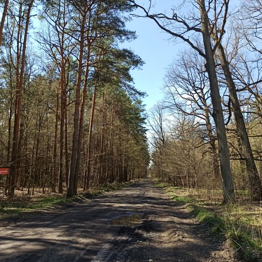 Nature reserve Pionki