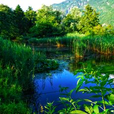 Biotopo Laghetto di Gargazzone