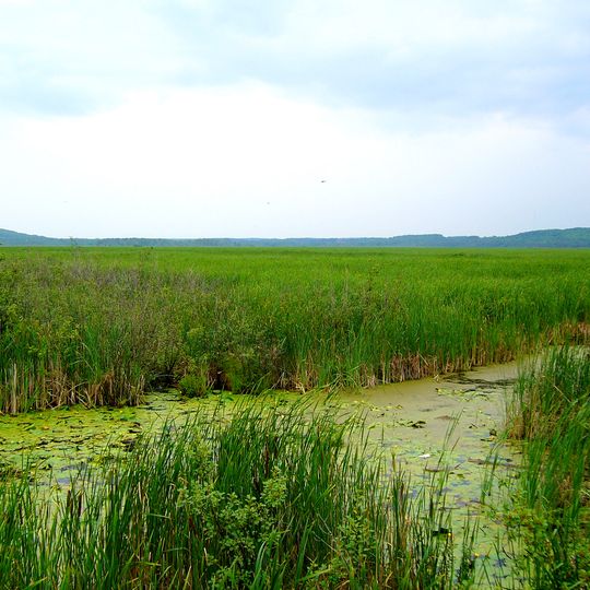 Wye Marsh