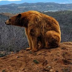 Out of Africa Wildlife Park
