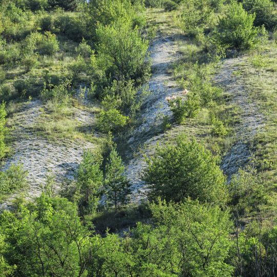 Cenomanian Limestones