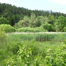 Unterm Siegel bei Bebra