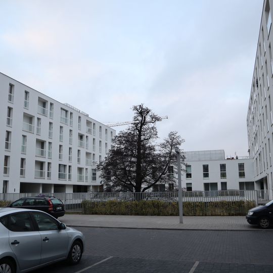 Blok przy ulicy Bobrowieckiej 10