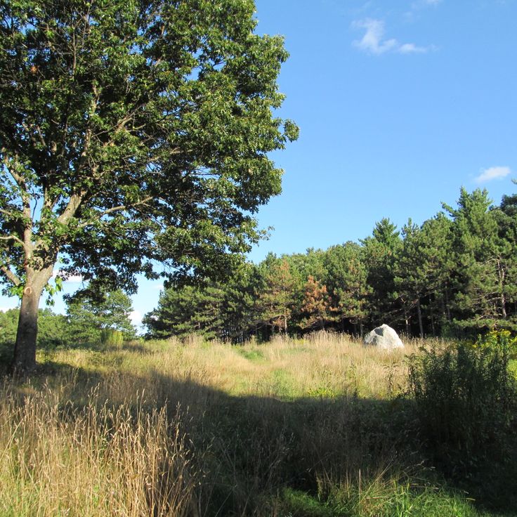 Doyle-Gemeinschaftspark