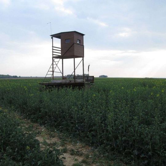 Kříž severně od Černíkovic v poli