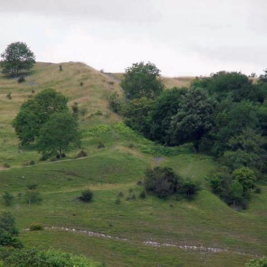 Dolebury Warren