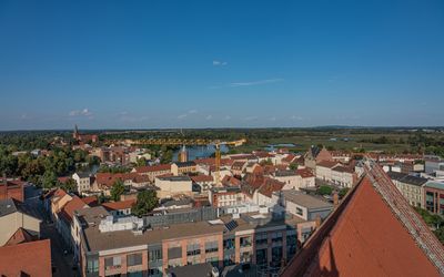 Вид 2