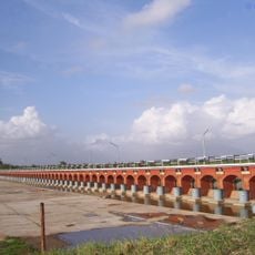 Ajwa