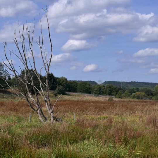 Osterbachtal bei Reinsfeld