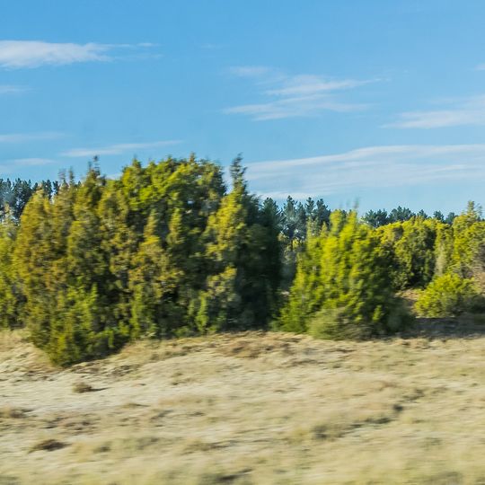 The Wilderness Area Scientific Reserve