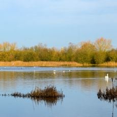 Irthlingborough Lakes and Meadows