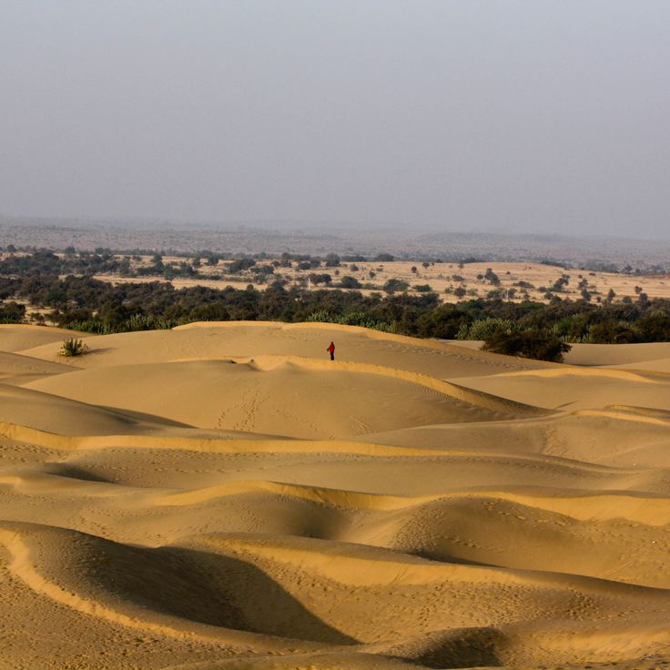 Deserto de Thar