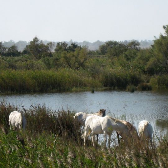 Observatoire du Mas Neuf