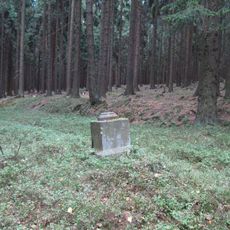 Kříž jižně od Vintířova u rozcestí v lese