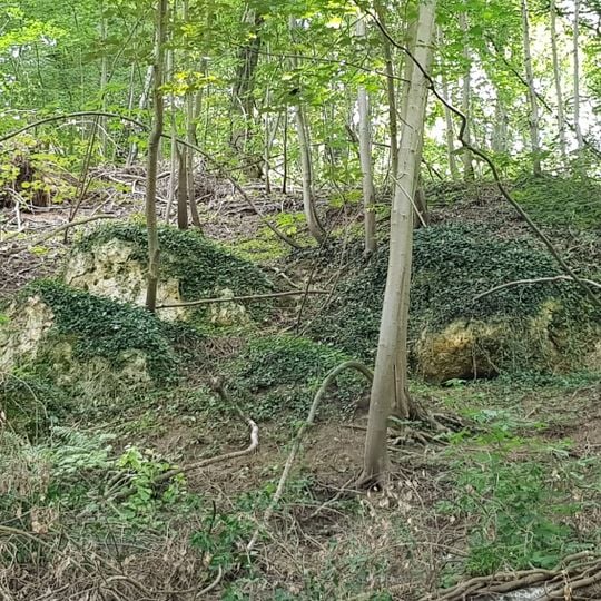 Groeve het Paradijsbergske IIa