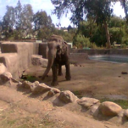 Zoológico de Quilpué