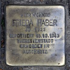 Frieda Haber