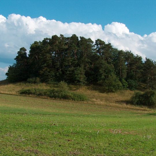 Halbtrockenrasen Ratberg