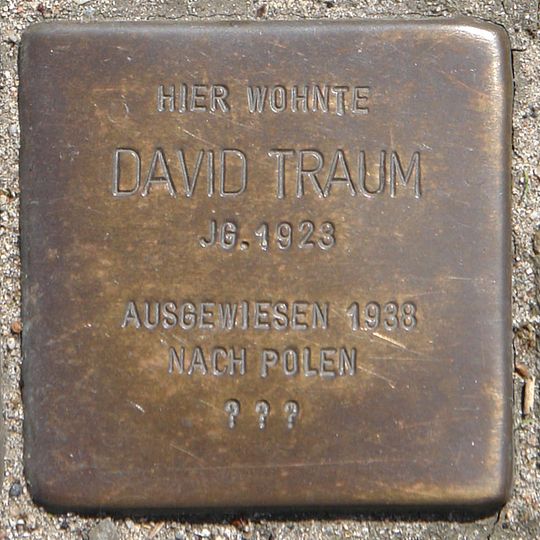 Stolperstein en memoria de David Traum