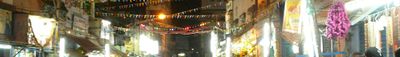Panoramic View 1
