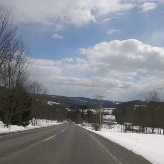 Callicoon