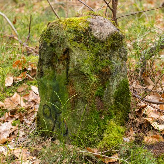 Grenzstein Fürther Stadtwald in Fürth