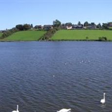 Ballysaggart Lough