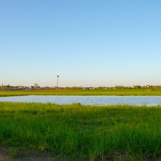 Buschwiesen von Höchst