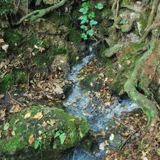 Sippenauer Moor ESE von Mitterfecking