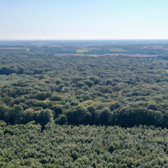 Réserve biologique intégrale du Cîteaux