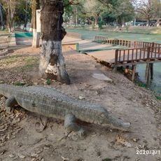 Sculpture