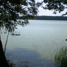 Latežeris