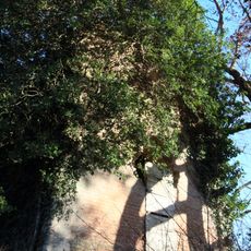 Chiesa di Sant'Agostino alla Sorra