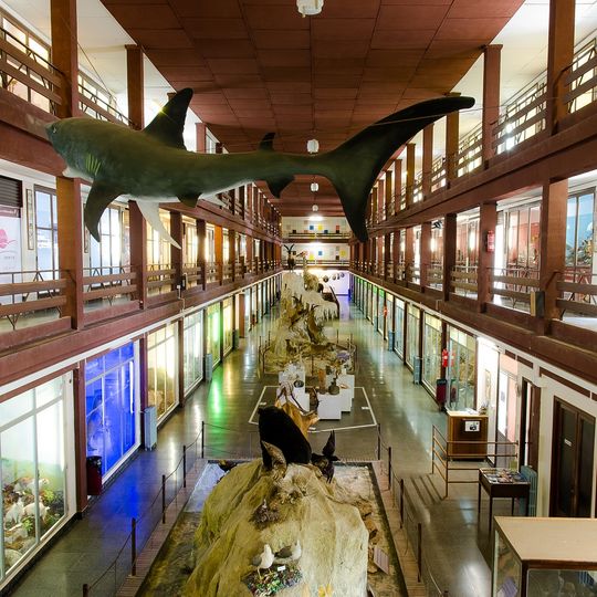 Museo de Ciencias Naturales El Carmen
