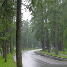 Sofiysky Boulevard (Pushkin town)